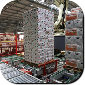 Pallet, Conveyor, Conveying, System, Automatic